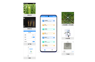 昭通市小麦表型检测仪IN-XM04